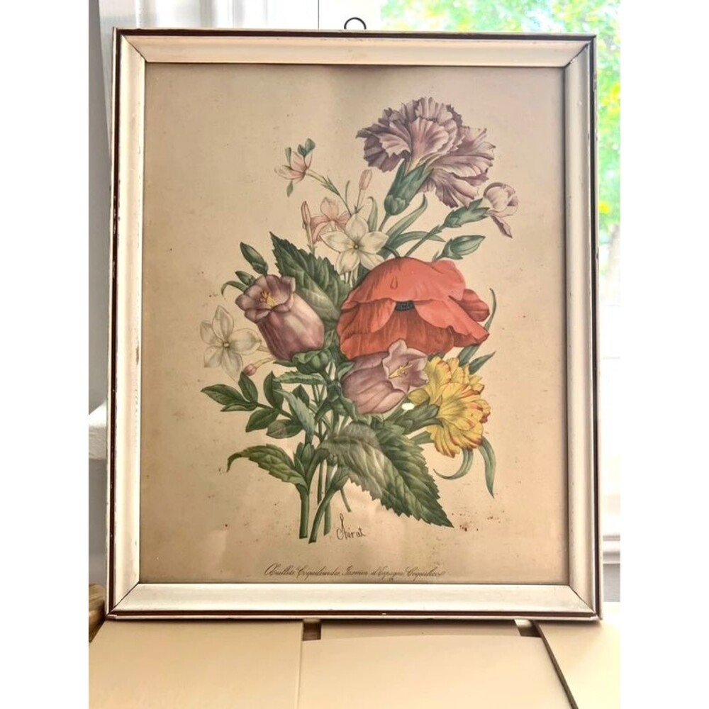 Vintage 1940s Benoit Chirat Botanical Floral Lithograph Print,Cottagecore Wall A